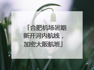 合肥机场暑期新开河内航线，加密大阪航班