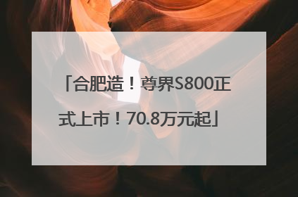 合肥造！尊界S800正式上市！70.8万元起