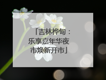 吉林桦甸：乐享嘉年华夜市焕新开市