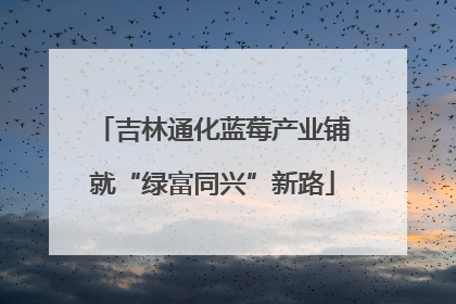 吉林通化蓝莓产业铺就“绿富同兴”新路