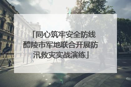 同心筑牢安全防线 醴陵市军地联合开展防汛救灾实战演练