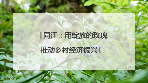 同江：用绽放的玫瑰 推动乡村经济振兴