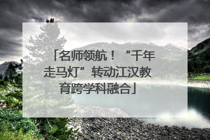 名师领航！“千年走马灯”转动江汉教育跨学科融合