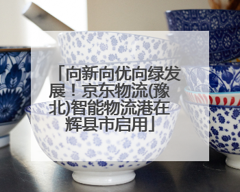 向新向优向绿发展！京东物流(豫北)智能物流港在辉县市启用