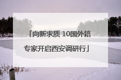 向新求质 10国外籍专家开启西安调研行