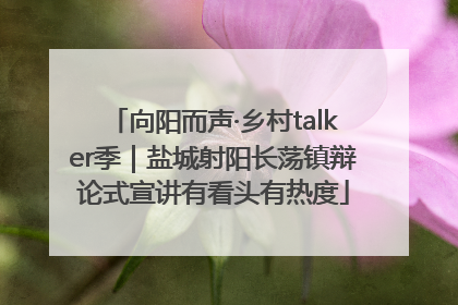 向阳而声·乡村talker季｜盐城射阳长荡镇辩论式宣讲有看头有热度
