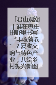 君山观潮｜谁在枣庄田野里书写“丰收答卷”？夏收交响与特色产业，共绘乡村振兴新图景