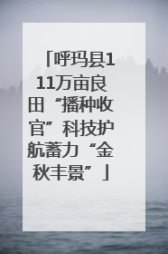 呼玛县111万亩良田“播种收官”科技护航蓄力“金秋丰景”