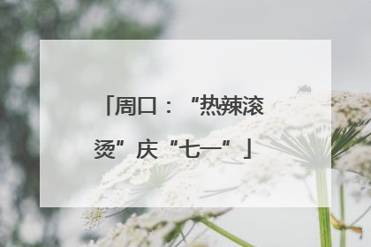 周口：“热辣滚烫”庆“七一”