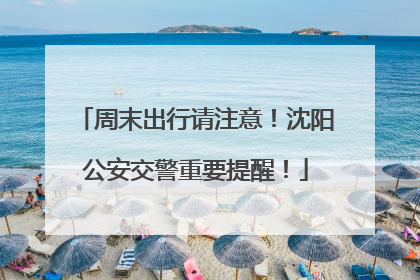 周末出行请注意！沈阳公安交警重要提醒！