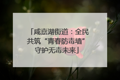咸嘉湖街道：全民共筑“青春防毒墙” 守护无毒未来