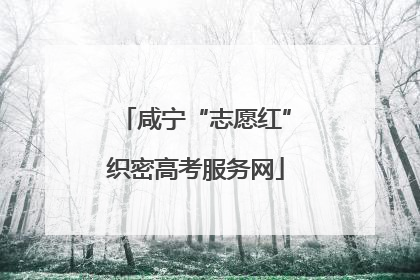 咸宁“志愿红”织密高考服务网