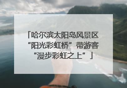 哈尔滨太阳岛风景区“阳光彩虹桥”带游客“漫步彩虹之上”
