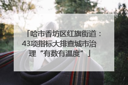 哈市香坊区红旗街道：43项指标大排查城市治理“有数有温度”
