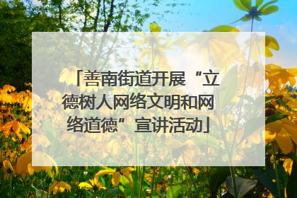 善南街道开展“立德树人网络文明和网络道德”宣讲活动