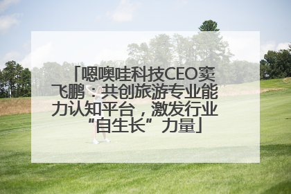 嗯噢哇科技CEO窦飞鹏：共创旅游专业能力认知平台，激发行业“自生长”力量