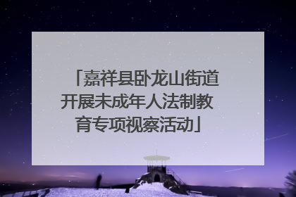 嘉祥县卧龙山街道开展未成年人法制教育专项视察活动