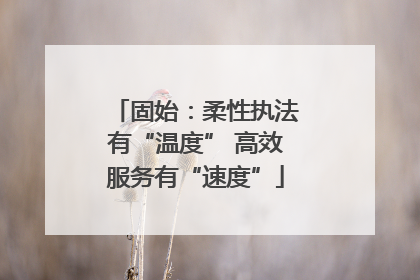 固始：柔性执法有“温度” 高效服务有“速度”