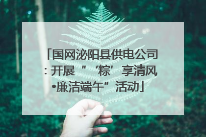 国网泌阳县供电公司：开展“‘粽’享清风 •廉洁端午”活动