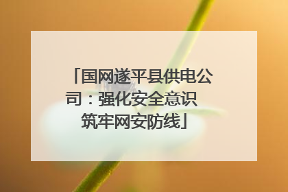 国网遂平县供电公司：强化安全意识 筑牢网安防线