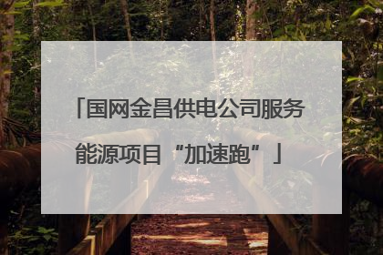 国网金昌供电公司服务能源项目“加速跑”