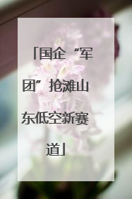 国企“军团”抢滩山东低空新赛道