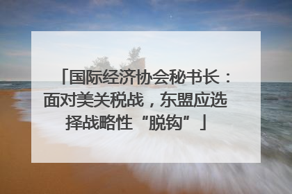 国际经济协会秘书长：面对美关税战，东盟应选择战略性“脱钩”