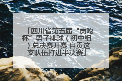 四川省第五届“贡嘎杯”男子排球（初中组）总决赛开赛 自贡这支队伍打进半决赛