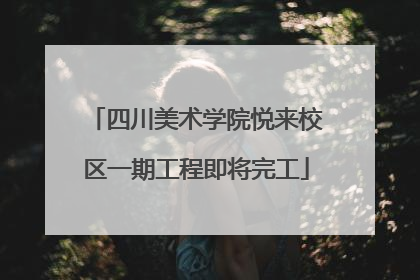 四川美术学院悦来校区一期工程即将完工