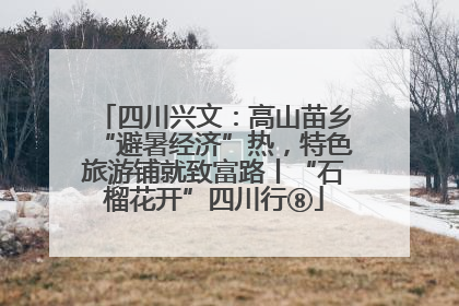 四川兴文：高山苗乡“避暑经济”热，特色旅游铺就致富路丨“石榴花开”四川行⑧