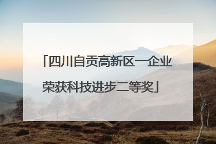四川自贡高新区一企业荣获科技进步二等奖