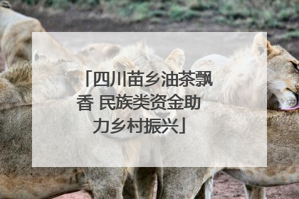 四川苗乡油茶飘香 民族类资金助力乡村振兴