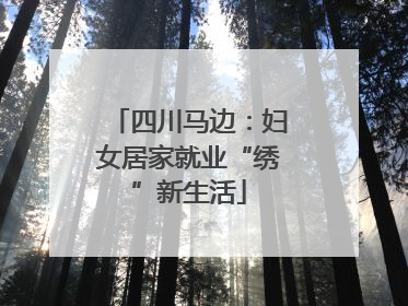 四川马边：妇女居家就业“绣”新生活