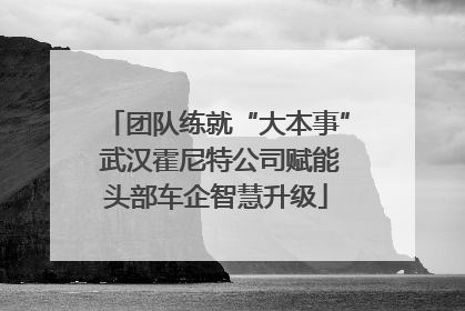 团队练就“大本事” 武汉霍尼特公司赋能头部车企智慧升级