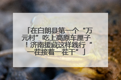 在白朗县第一个“万元村”吃上高原车厘子！济南援藏这样践行“一茬接着一茬干”