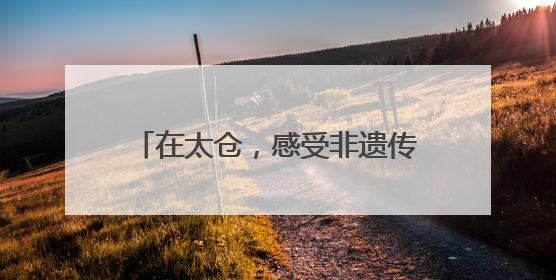 在太仓，感受非遗传承的“硬核浪漫”