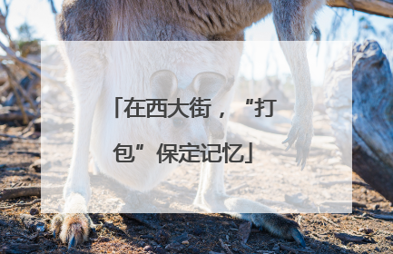 在西大街，“打包”保定记忆