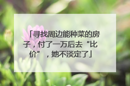 寻找周边能种菜的房子，付了一万后去“比价”，她不淡定了