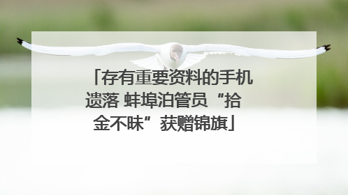 存有重要资料的手机遗落 蚌埠泊管员“拾金不昧”获赠锦旗