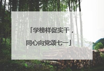学榜样促实干，同心向党颂七一