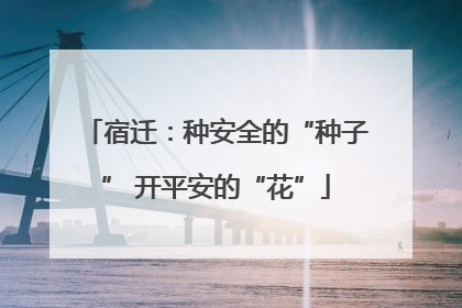 宿迁：种安全的“种子” 开平安的“花”