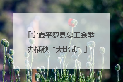 宁夏平罗县总工会举办插秧“大比武”
