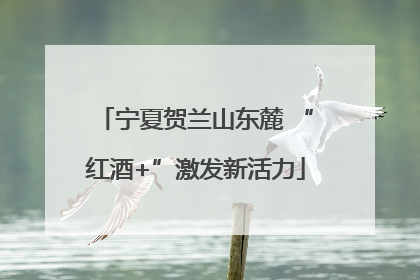宁夏贺兰山东麓 “红酒+”激发新活力
