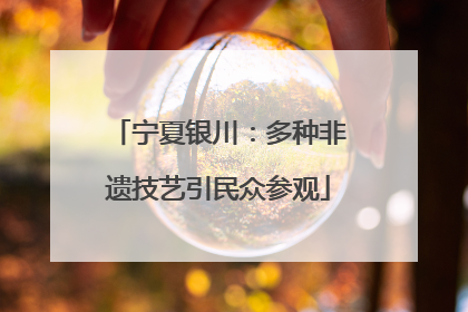宁夏银川：多种非遗技艺引民众参观