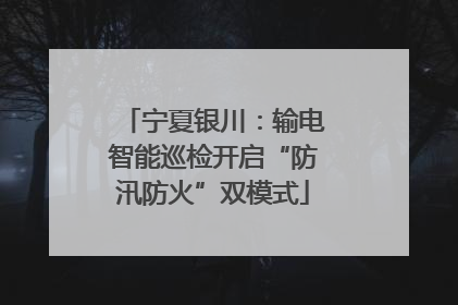 宁夏银川：输电智能巡检开启“防汛防火”双模式
