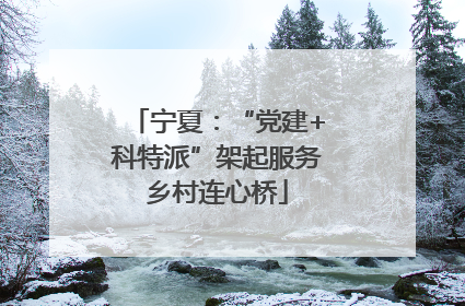 宁夏：“党建+科特派”架起服务乡村连心桥