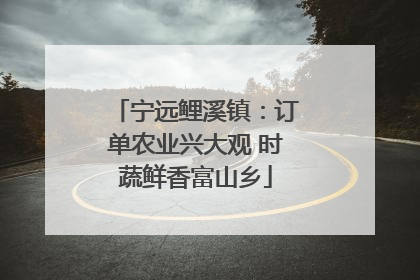 宁远鲤溪镇：订单农业兴大观 时蔬鲜香富山乡