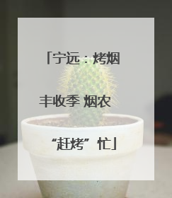 宁远：烤烟丰收季 烟农“赶烤”忙