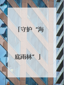 守护“海底雨林”