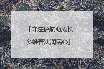 守法护航助成长 多维普法润民心